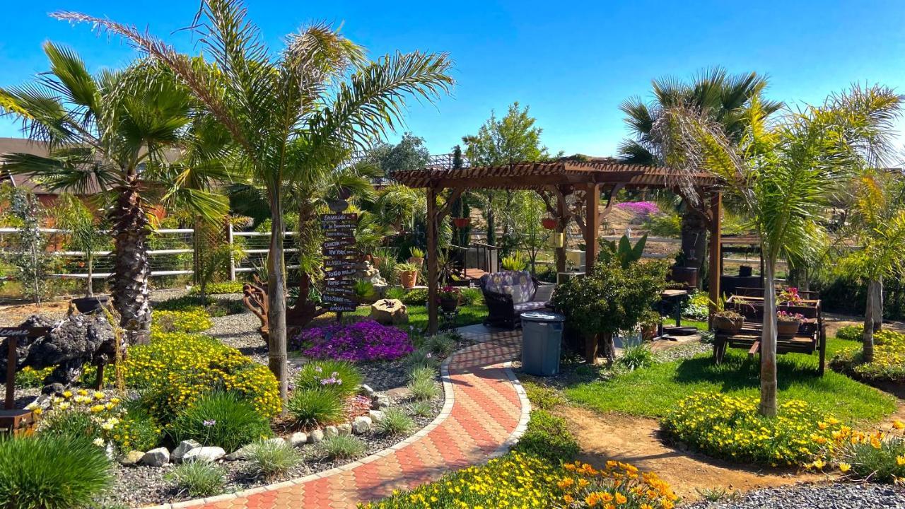 Paraiso Del Valle Ensenada Exteriör bild